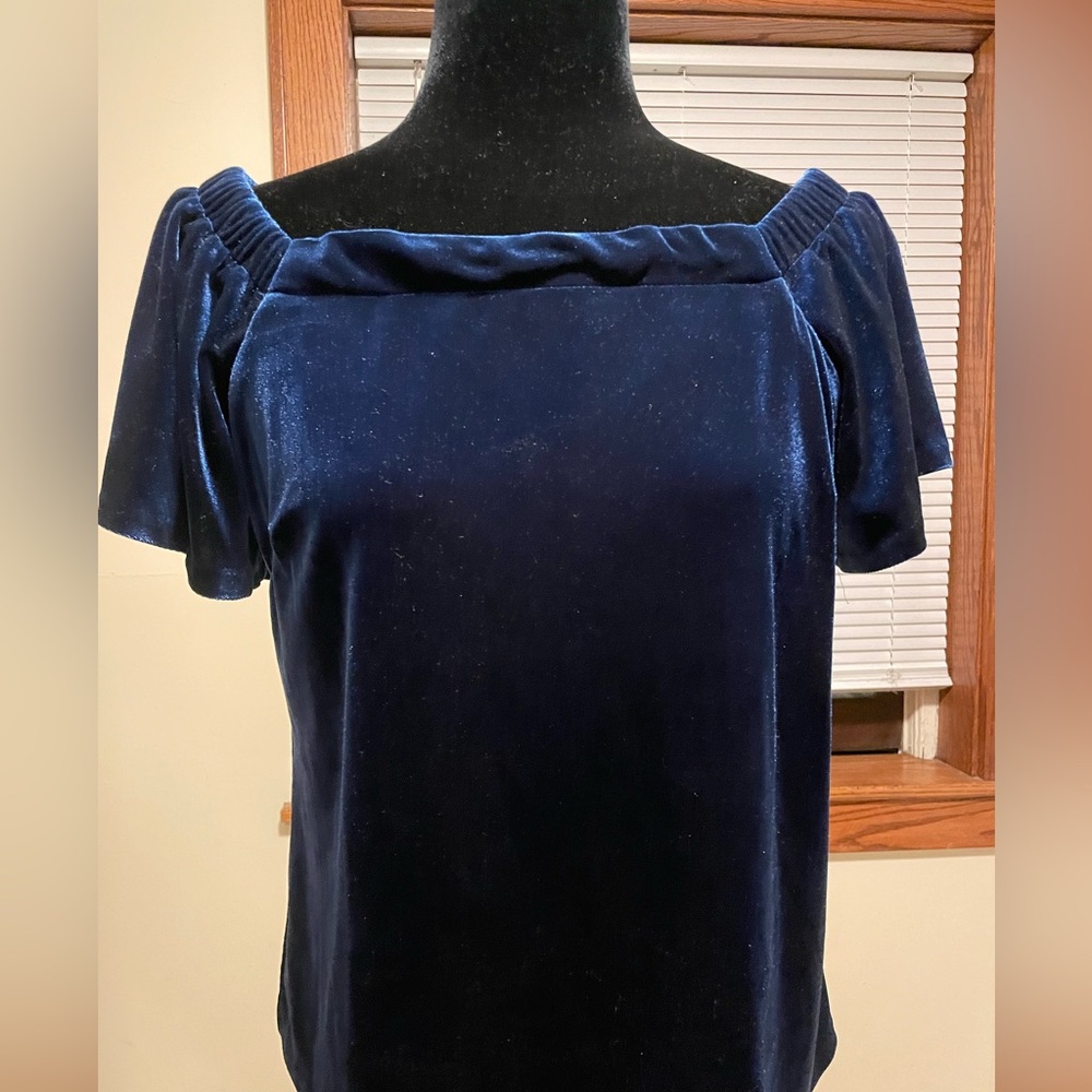 Blue Velvet Top